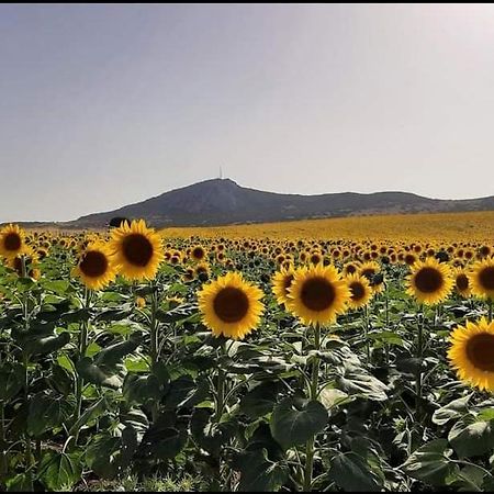 Appartamento Residencial Zahazar Zahara de los Atunes Esterno foto